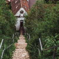 Plimbări în natură