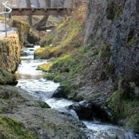 Plimbări în natură
