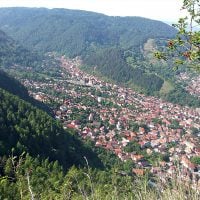 Plimbări în natură