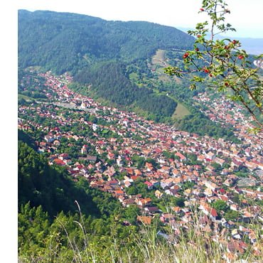Plimbări în natură